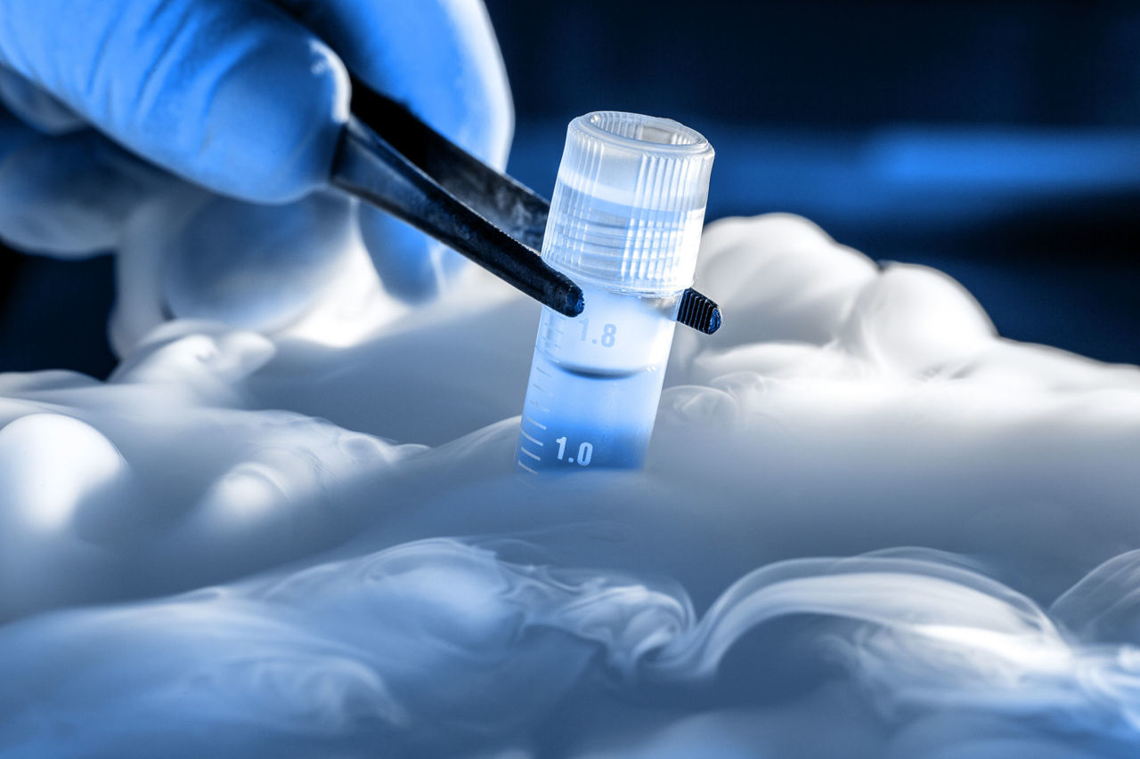 Storage and re-use of DNA samples of your dog